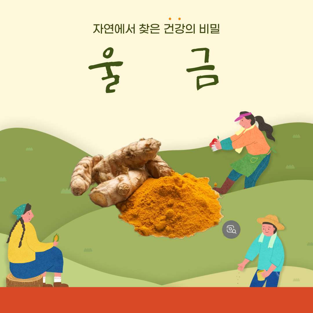 울금-자연에서 찾은 건강의 비밀